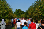 Nazwa pliku=22zabawa15.jpg
Wielkość pliku=416KiB
Rozmiar=900x600
Data dodania= 09, Marzec 2018 22zabawa15.jpg