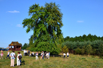 Nazwa pliku=51zabawa15.jpg
Wielkość pliku=360KiB
Rozmiar=900x600
Data dodania= 09, Marzec 2018 51zabawa15.jpg