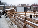 Nazwa pliku=szopka25~1.jpg
Wielkość pliku=345KiB
Rozmiar=690x518
Data dodania= 29, Grudzień 2010 szopka25~1.jpg